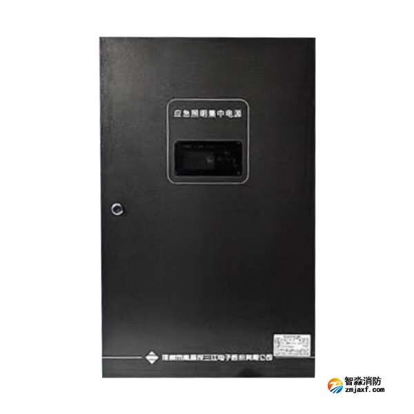 河南海湾SJ-D-0.6KVA/P601AC应急照明集中电源 4回路 壁挂式