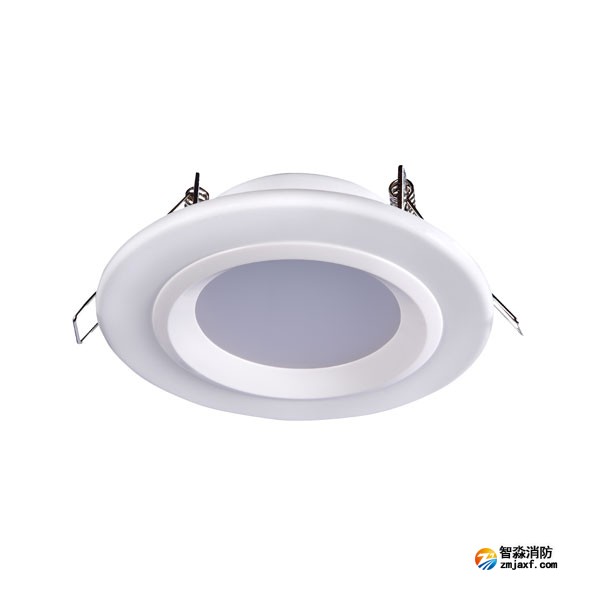 河南海湾HW-ZFJC-E6W-N621集中电源集中控制型消防应急照明灯具